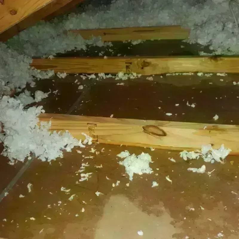 Attic Water Damage in Killian, LA